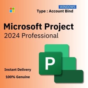 Official box art for the ACCOUNT BIND version of Project 2024 Pro. A genuine lifetime license key that binds to your Microsoft Account, from Delta Keys India.